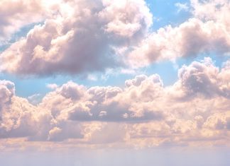 Jugements sans valeur