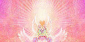 Le Créateur – En Vous !