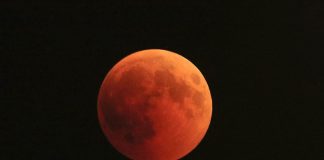 L’éclipse à venir, l’exposition, la réinitialisation financière