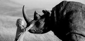 Archange Jophiel : La Peur peut être votre alliée et amie