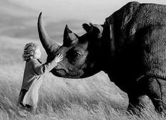 Archange Jophiel : La Peur peut être votre alliée et amie