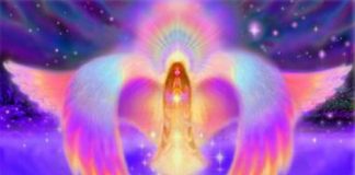 La Qualité d’Amour connue sous le nom de «Souveraineté»