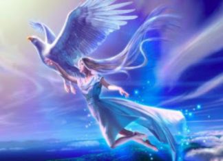 Fusionner avec Votre SOI Multidimensionnel en 2019