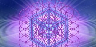 Métatron – Effusions mensuelles du 23 novembre 2019