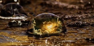 Voyez Vous Comme Nous Vous Voyons