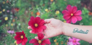 Gratitude et Manifestation