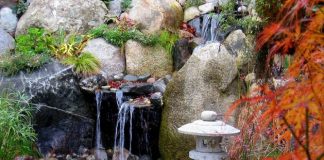 Se choisir en fonction de ses rêves