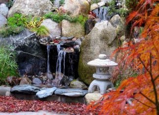 Se choisir en fonction de ses rêves