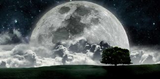 Collectif pléïadien – La Lune de la Terre