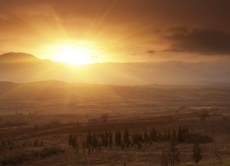 2019, l’année des révélations