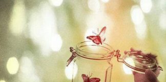 Le Créateur – Votre Tour !