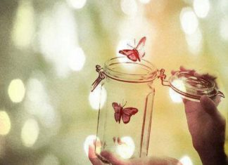 Le Créateur – Votre Tour !