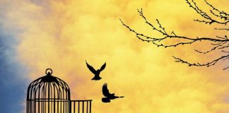 Dualité entre liberté et asservissement