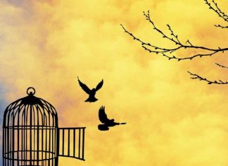 Message céleste du Nouvel An 2019