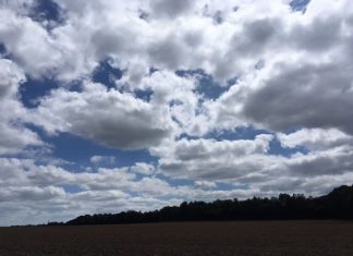 Vous pouvez en 2019 devenir QUI vous êtes vraiment