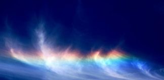 Se mettre à la place d’autrui