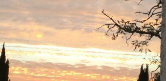 C’est dans le collectif que vous allez être chahutés