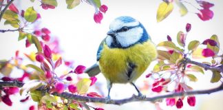 Marie et l’Archange Michaël – L’Épée de Lumière est prête à oeuvrer lorsque Mère Divine demandera de libérer les êtres