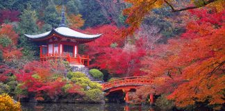 Le chemin que nous suivons dans l’après-vie est déterminé par nos croyances