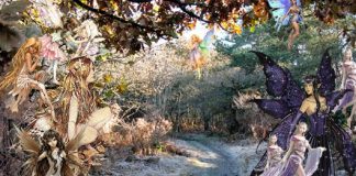 Appel du peuple des élémentaux au peuple humain