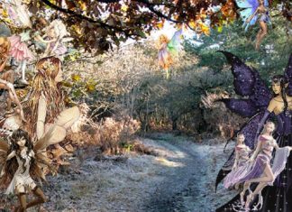 Appel du peuple des élémentaux au peuple humain