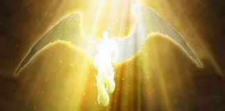 La Lumière et l’Amour ont gagné, Très Chers !