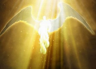 La Lumière et l’Amour ont gagné, Très Chers !