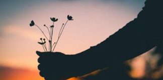 Le Créateur – Pardonnez….