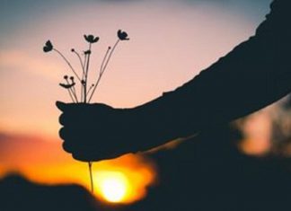 Votre Nouvelle Écran Optimiste