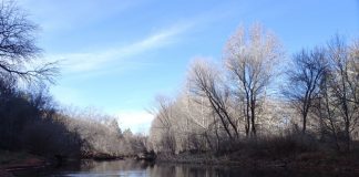 L’éclipse et les émotions