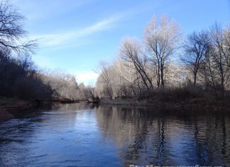 L’éclipse et les émotions
