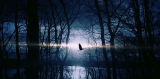 Retourner à l’Envers