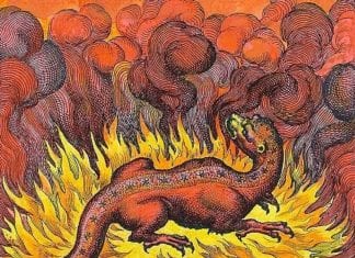 Salamandres de Feu : Changement d’Énergie