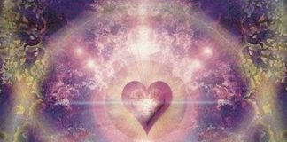 La Vibration du Pardon