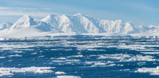 Cassel, Déva de Glace en Antarctique