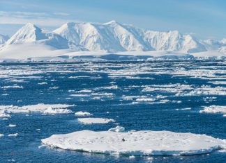 Cassel, Déva de Glace en Antarctique