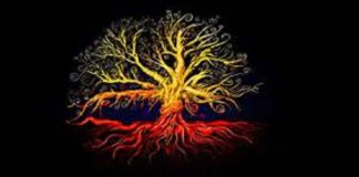 Message des Salamandres de feu et du Collectif des arbres de la Nouvelle-Gaïa