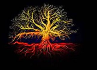 Message des Salamandres de feu et du Collectif des arbres de la Nouvelle-Gaïa