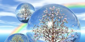 Vous Devez Apprendre l’Art de la Permission