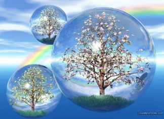 Vous Devez Apprendre l’Art de la Permission