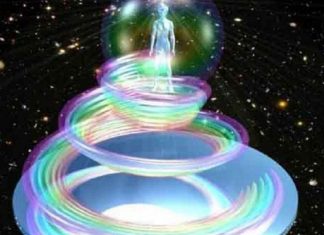 Vos co-créateurs sont arrivés !