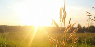 Comme tous les autres