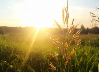 Comme tous les autres