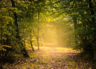 Marcher à travers la peur jusqu’à la joie