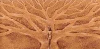 Sananda – Choisissez !