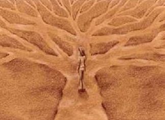 Il est Temps de Choisir – St Germain et la Déesse de la Liberté (partie 2)