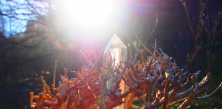 Révéler le sens de la vie