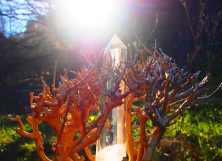 Révéler le sens de la vie