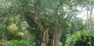 Préparons la croissance à venir