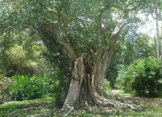 Préparons la croissance à venir